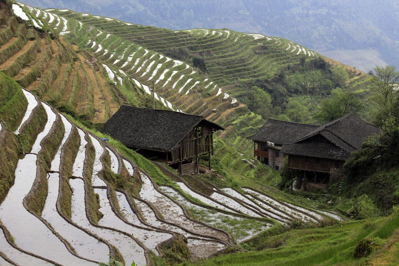 2017-04-11_172903 china-2017.jpg - Longsheng - Pingan - Reisterassen